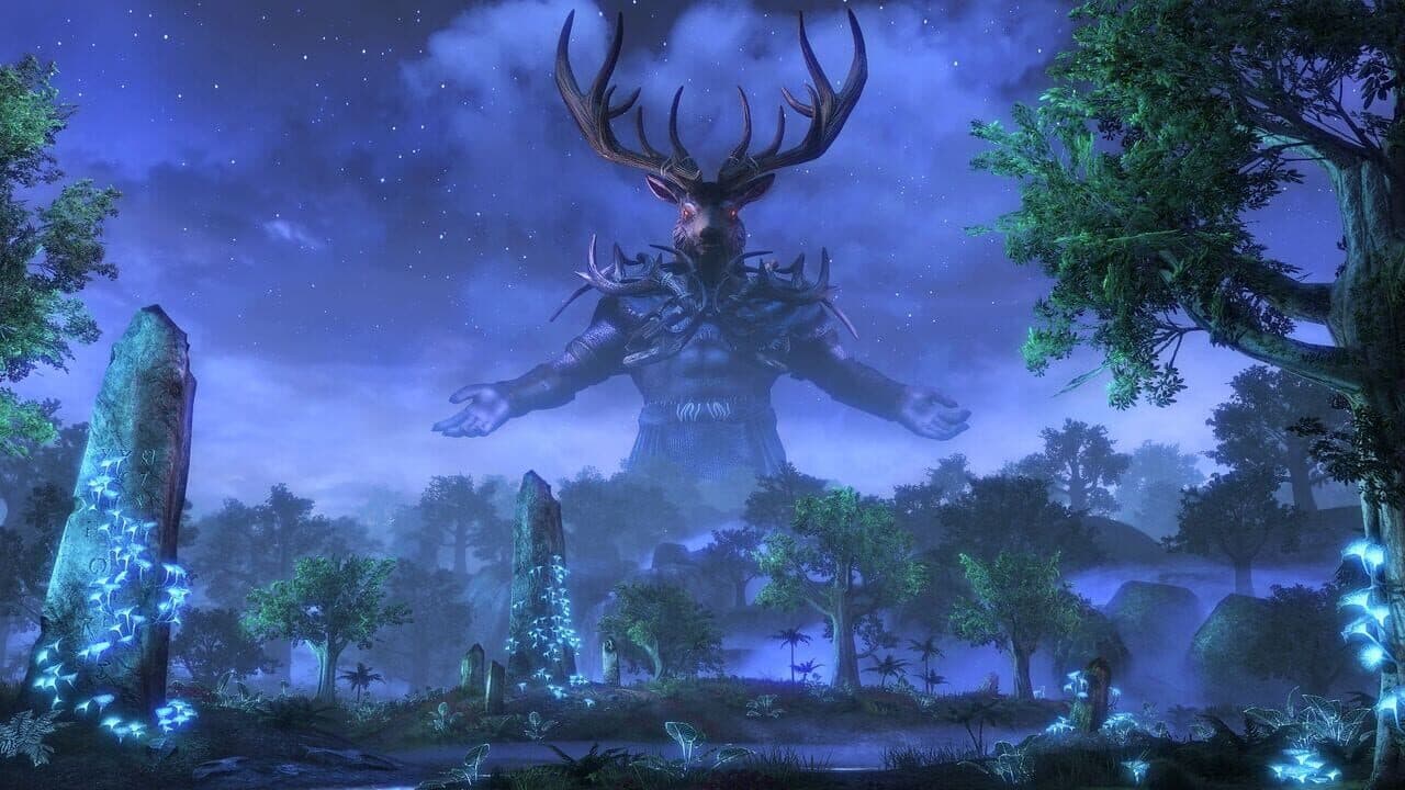 The Elder Scrolls Online screenshot 9