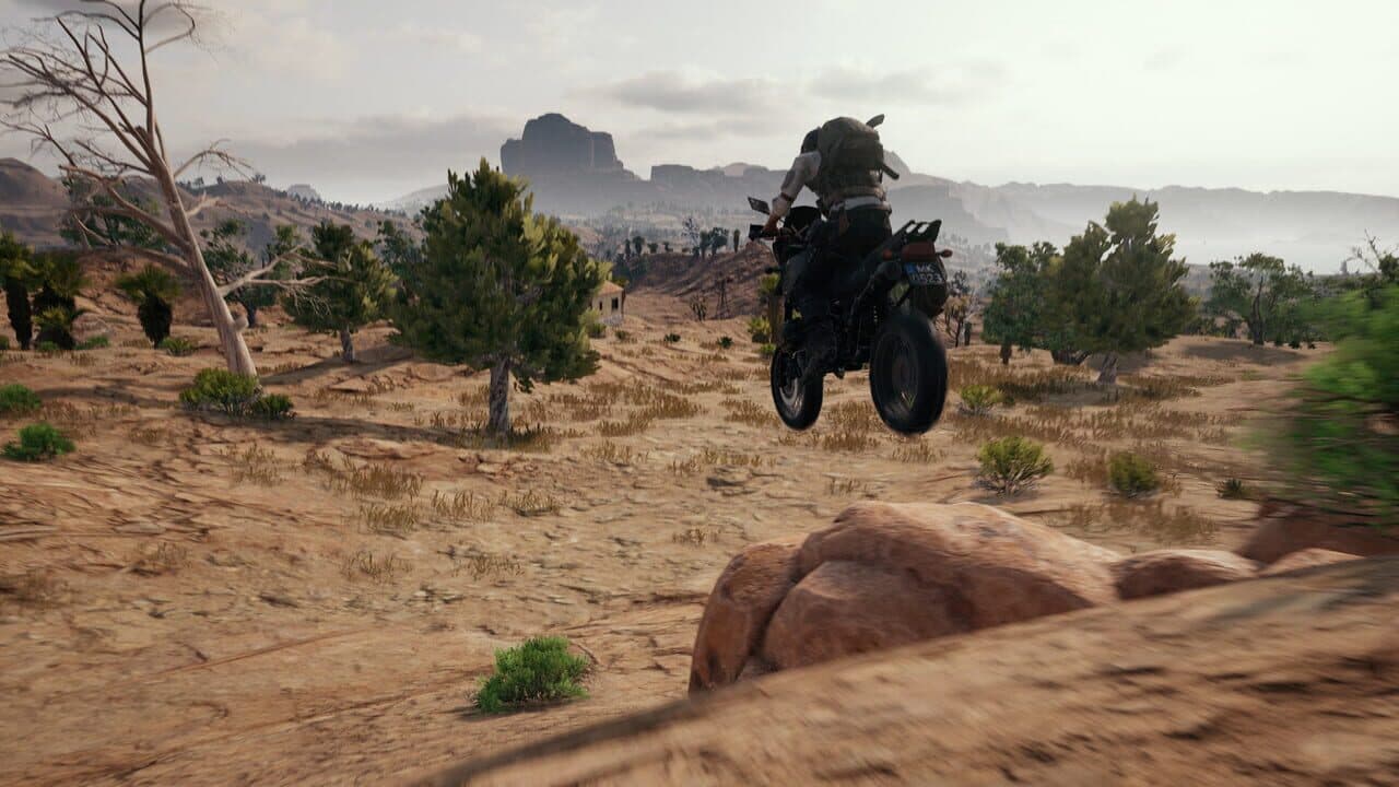 PUBG: Battlegrounds screenshot 7