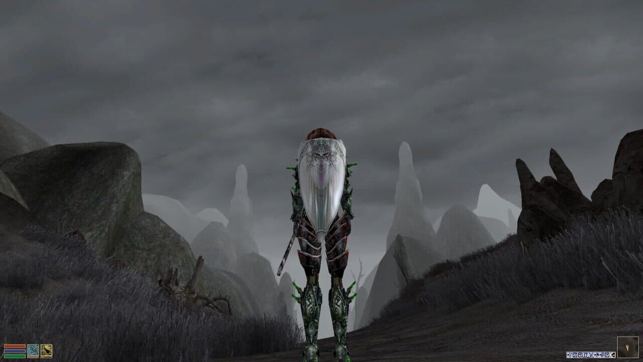 The Elder Scrolls III: Morrowind screenshot 9