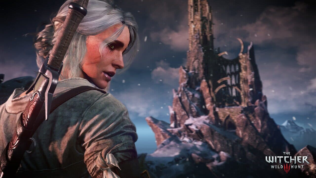 The Witcher 3: Wild Hunt screenshot 10