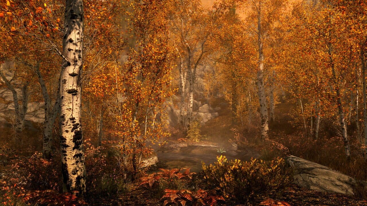 The Elder Scrolls V: Skyrim - Anniversary Edition screenshot 15
