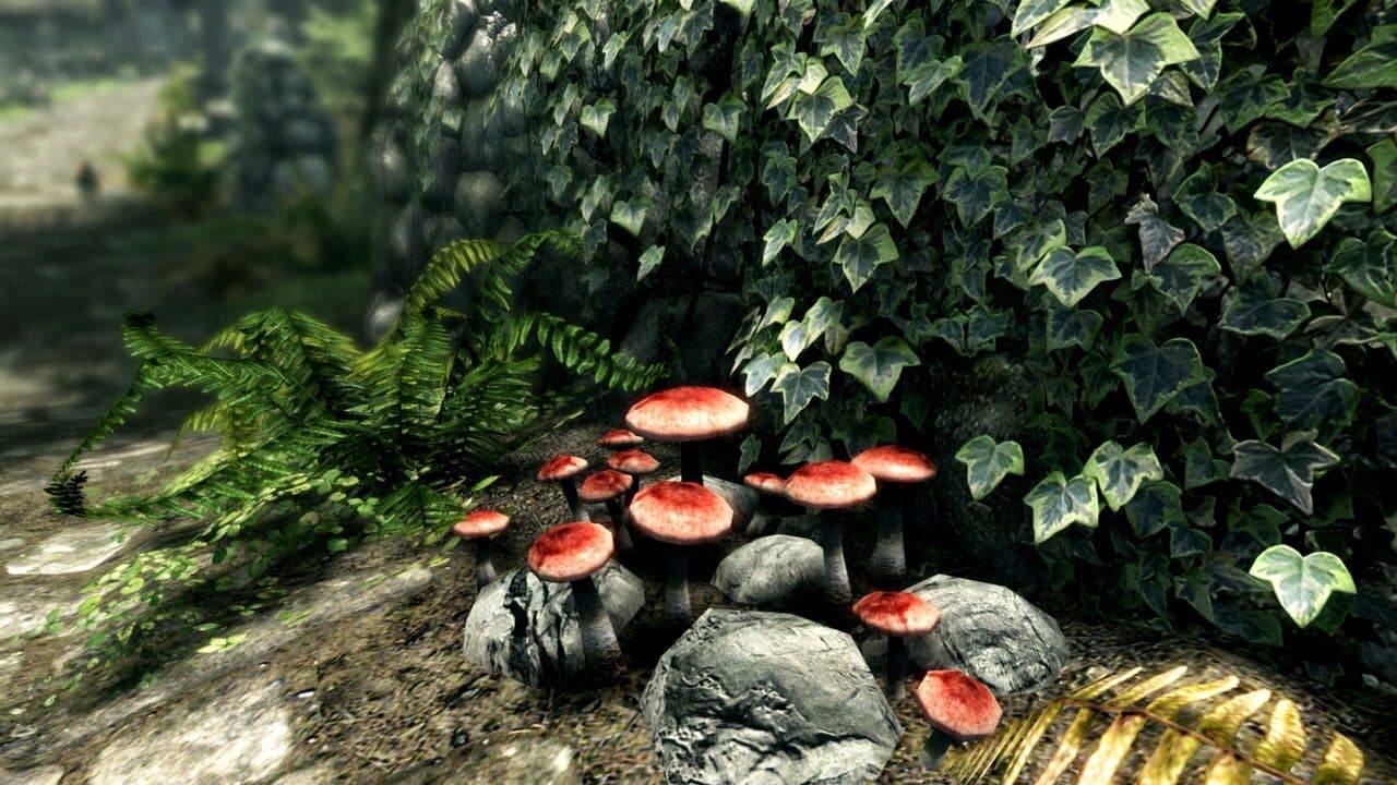 The Elder Scrolls V: Skyrim - Anniversary Edition screenshot 8