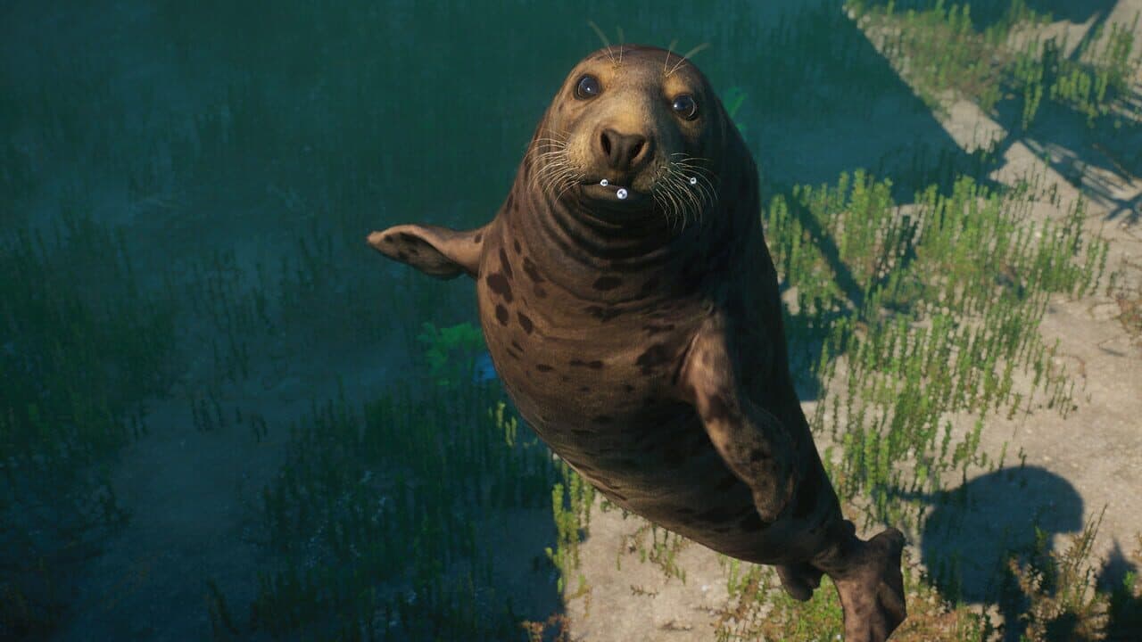 Planet Zoo: Aquatic Pack screenshot 9