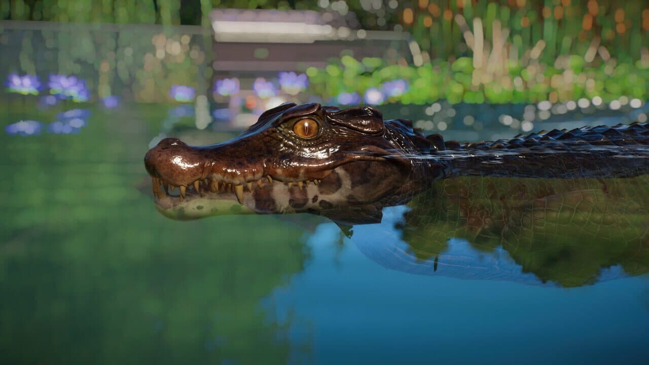 Planet Zoo: Aquatic Pack screenshot 12