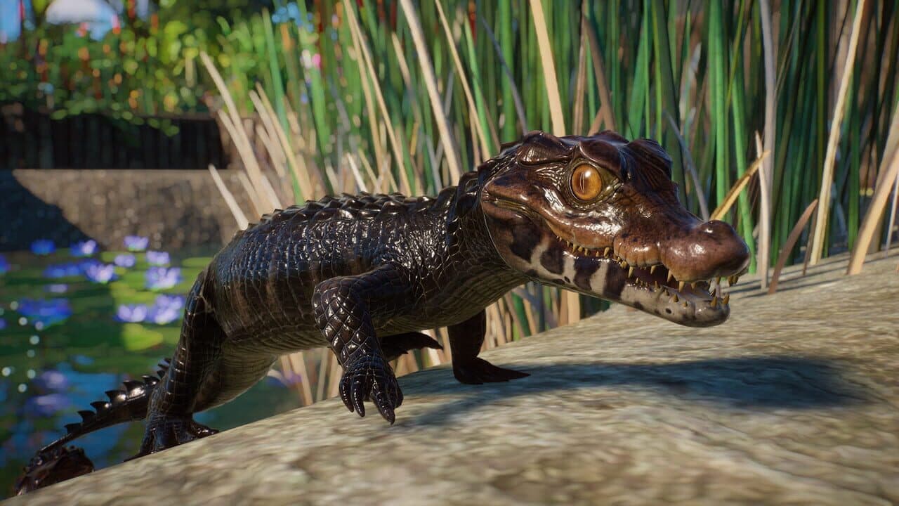Planet Zoo: Aquatic Pack screenshot 11