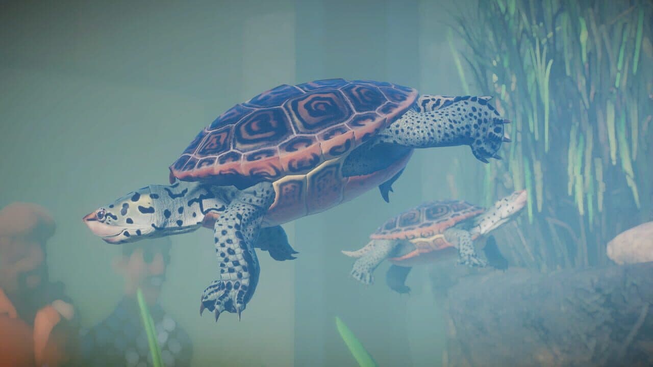 Planet Zoo: Aquatic Pack screenshot 13