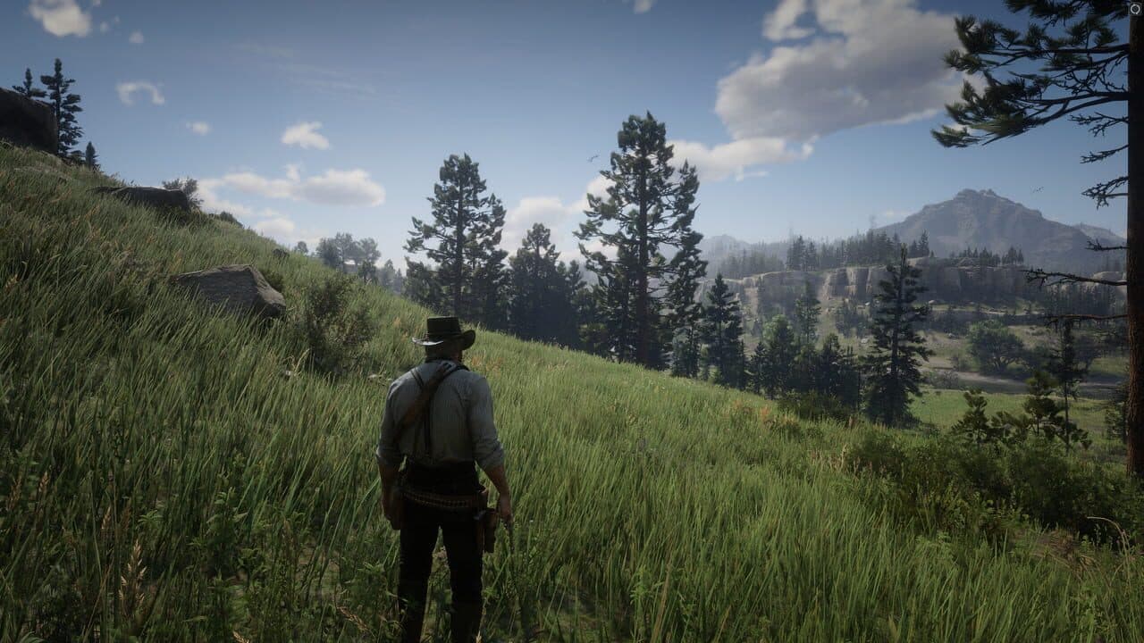 Red Dead Redemption 2 screenshot 14