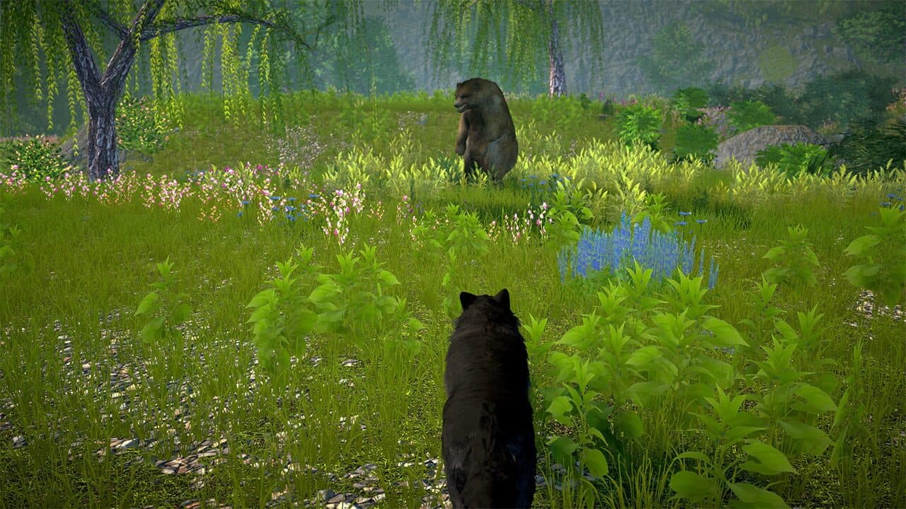Wolf Simulator 2025: Wild RPG Survival screenshot 1