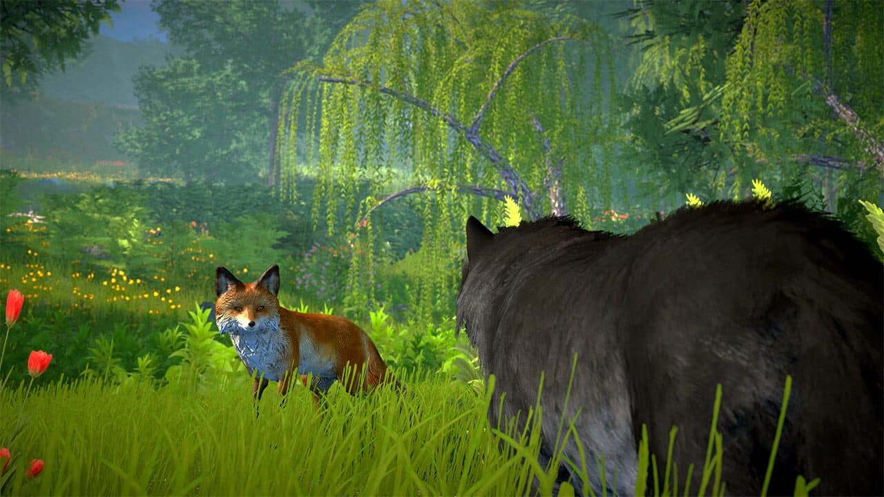 Wolf Simulator 2025: Wild RPG Survival screenshot 5
